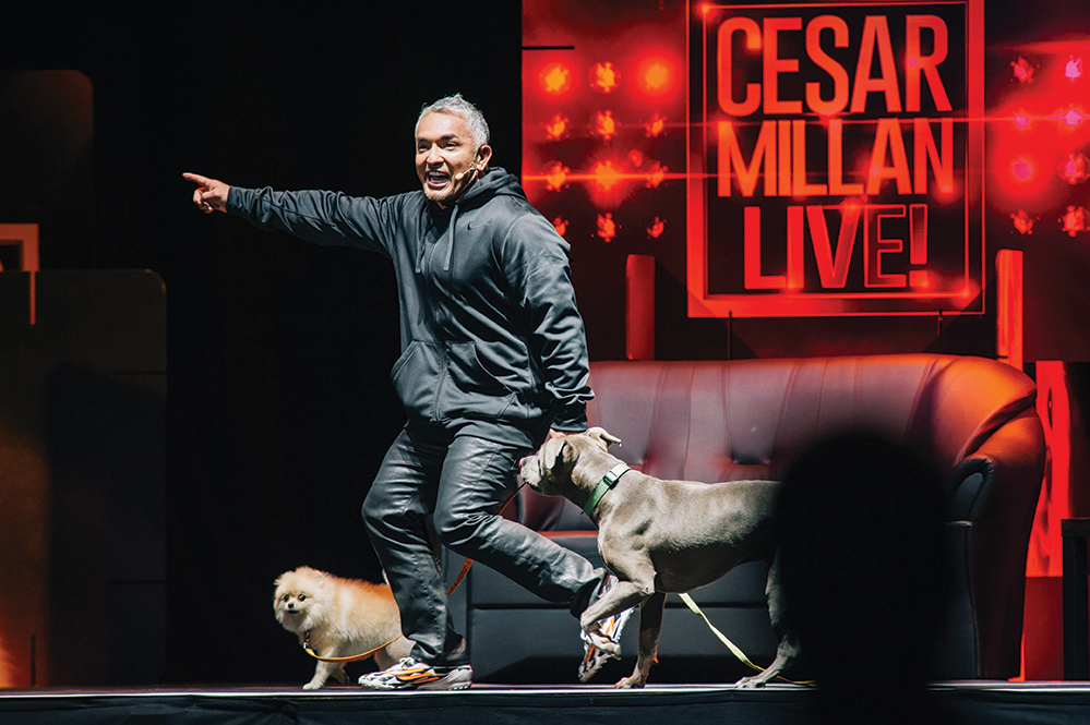Millan performs live on stage in front of 14,000 people